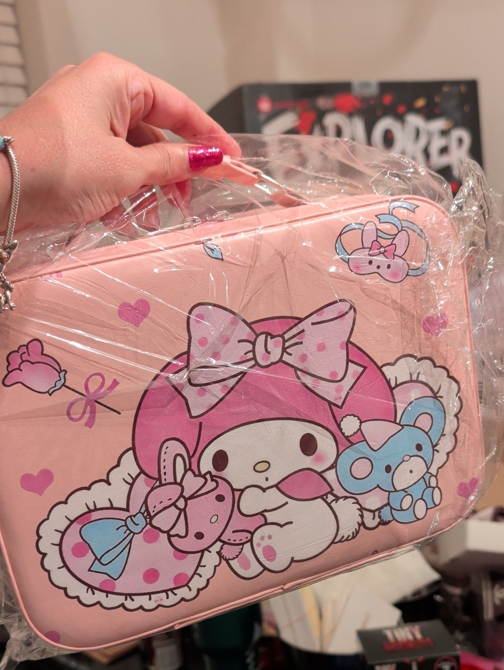 Sanrio My Melody Pink and Blue Kids Carry Case - Cute Character